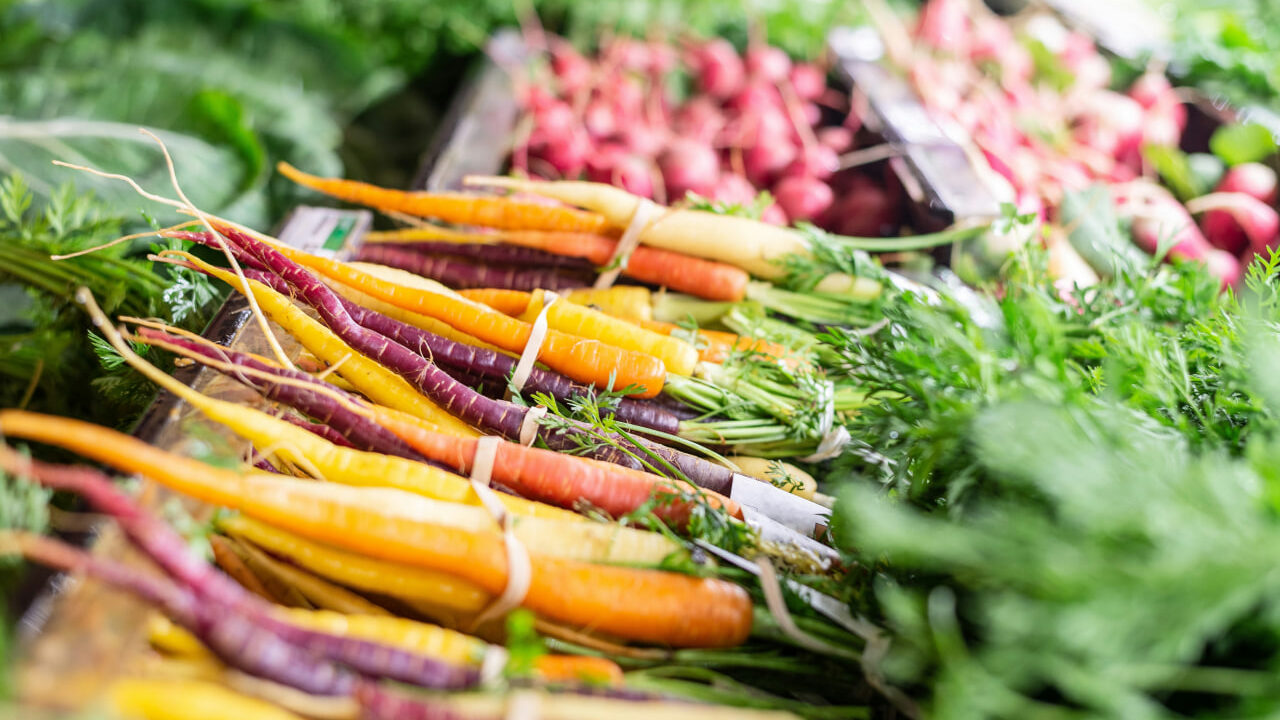 Цены на еду – в топе вопросов на прямую линию с президентом